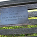 Andy Collins Photo 37