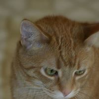 Margaret Kraus Photo 23