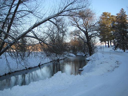 Julie Keefe Photo 25