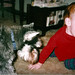 Reggie Joy Photo 6