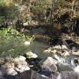 Debbie Staton Photo 15