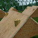 Jo Butler Photo 36