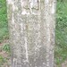 Nancy Simmons Photo 45