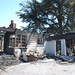 Cynthia Elkins Photo 12