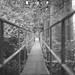 James Utterback Photo 11