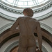 David Back Photo 8