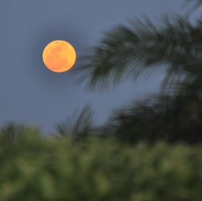 David Krug Photo 13