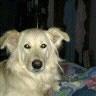 John Guyton Photo 8