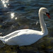 Michael Jarboe Photo 17