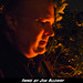Hal Robbins Photo 10
