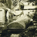 Ronald Billings Photo 11
