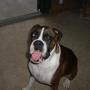 Cheryl Norton Photo 17