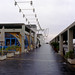 Joseph Mackay Photo 19