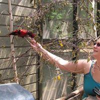 Sheree Miller Photo 13