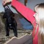 Kathy Larson Photo 21