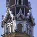 Stephen Vaughn Photo 17