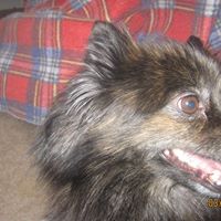 Darla Miller Photo 36