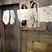 Vivian Chen Photo 21
