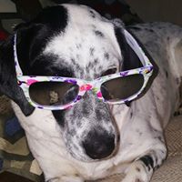 Donna Thornhill Photo 5