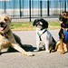 Erin Sapp Photo 13