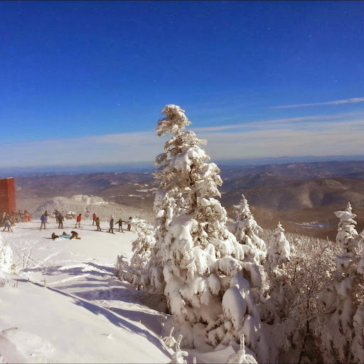 Brian Whitman Photo 9