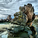 Clifton Taylor Photo 26