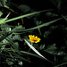 Tom Lien Photo 9