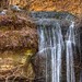 Stephen Fall Photo 15