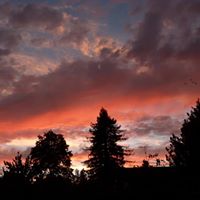 Carl Erickson Photo 50