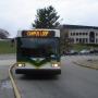Robert Morton Photo 27