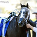 Larry Jones Photo 14
