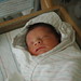 Vincent Bradley Photo 13