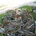 James Westerman Photo 16