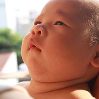 Thinh Ho Photo 18