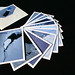 Roberta Holden Photo 12