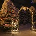 Sandy Peterson Photo 8