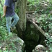 Diane Mccarty Photo 4