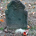 Mary Maples Photo 22