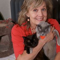 Linda Wolk Photo 5