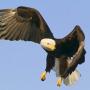 Melvin Holmes Photo 28