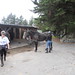 Susan Ireland Photo 19