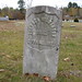 Stephen Wilkinson Photo 41