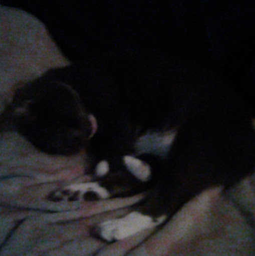 Lois Lane Photo 31