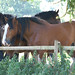 Noel Bell Photo 26