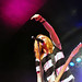 Travis Webster Photo 15