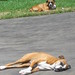 Lilly Guenther Photo 1