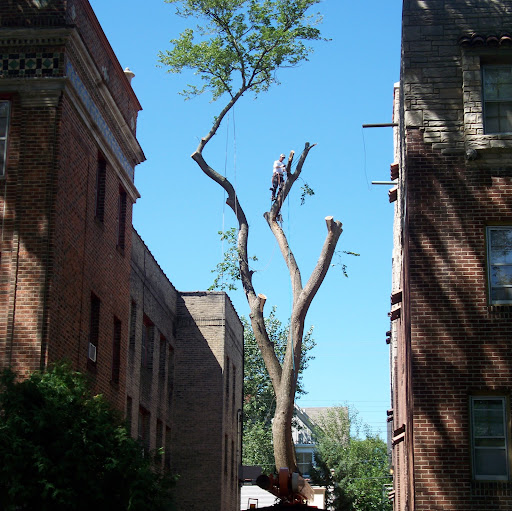 Scott Kantor Photo 16