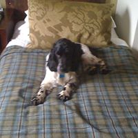 Michele Mcclung Photo 10