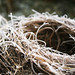 Vicki Frost Photo 12