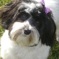 Sandy Turk Photo 23